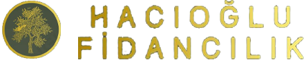 Hacıoğlu Fidancılık